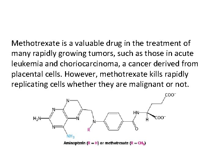 Methotrexate is a valuable drug in the treatment of many rapidly growing tumors, such