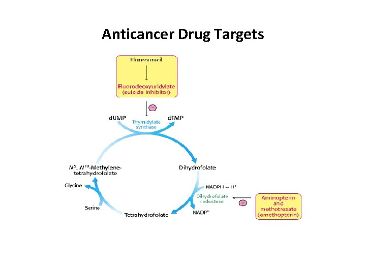Anticancer Drug Targets 