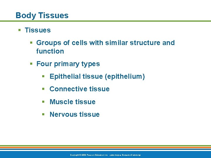 Body Tissues § Groups of cells with similar structure and function § Four primary