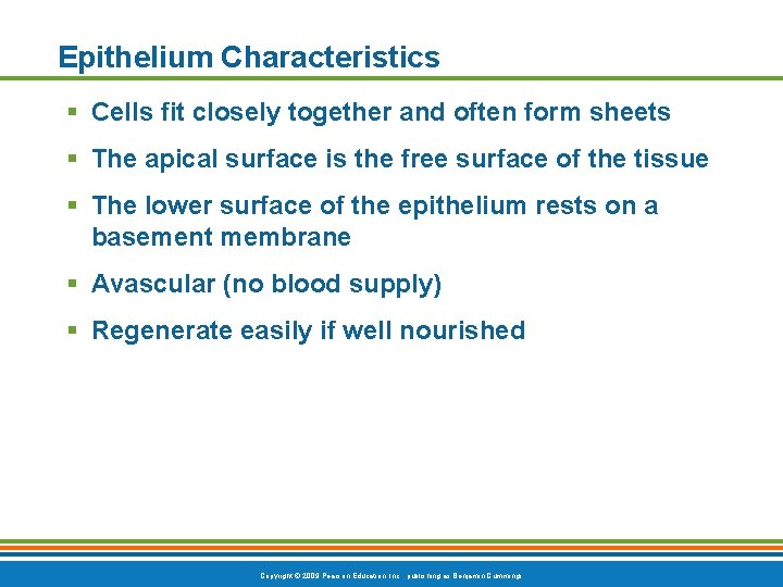 Epithelium Characteristics § Cells fit closely together and often form sheets § The apical