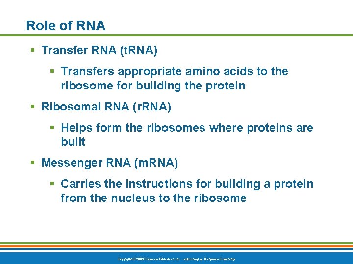 Role of RNA § Transfer RNA (t. RNA) § Transfers appropriate amino acids to