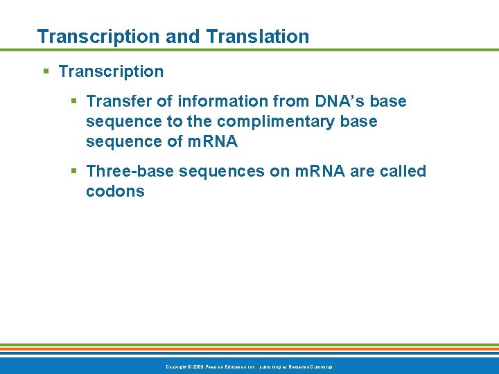 Transcription and Translation § Transcription § Transfer of information from DNA’s base sequence to