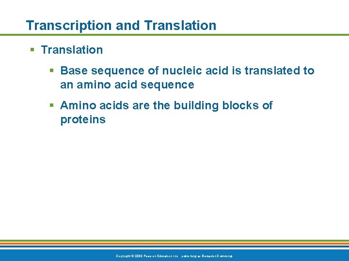Transcription and Translation § Base sequence of nucleic acid is translated to an amino