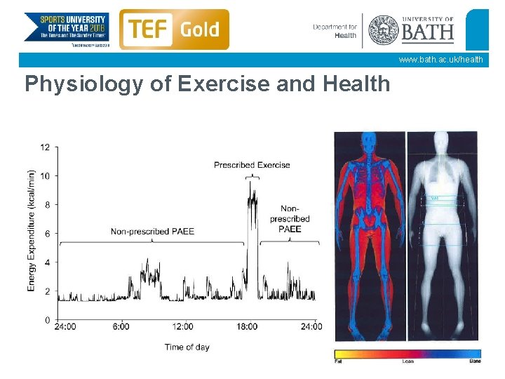 www. bath. ac. uk/health Physiology of Exercise and Health 