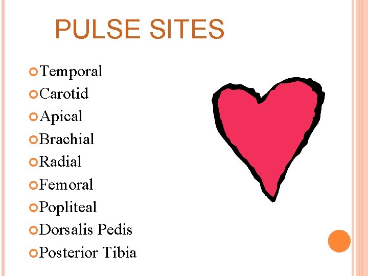 PULSE SITES Temporal Carotid Apical Brachial Radial Femoral Popliteal Dorsalis Pedis Posterior Tibia 