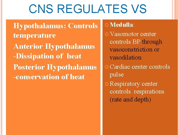 CNS REGULATES VS Hypothalamus: Controls temperature Anterior Hypothalamus -Dissipation of heat Posterior Hypothalamus -conservation