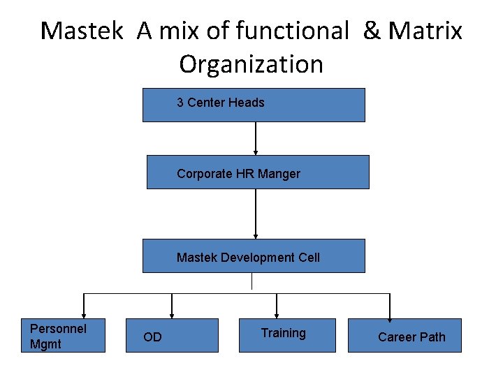Mastek A mix of functional & Matrix Organization 3 Center Heads Corporate HR Manger