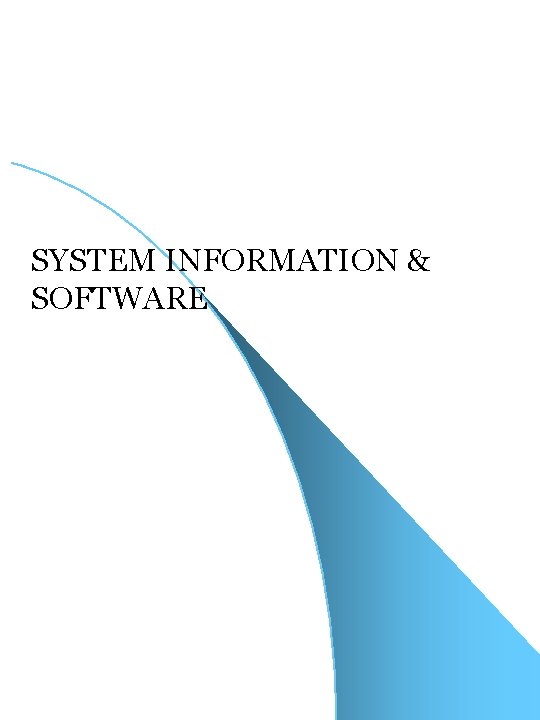 SYSTEM INFORMATION & SOFTWARE 