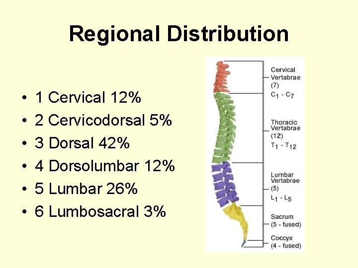 Regional Distribution • • • 1 Cervical 12% 2 Cervicodorsal 5% 3 Dorsal 42%