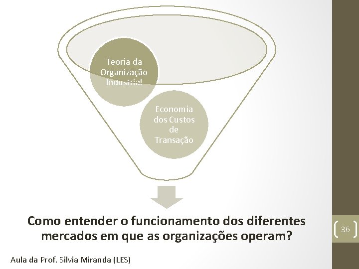 Teoria da Organização Industrial Economia dos Custos de Transação Como entender o funcionamento dos