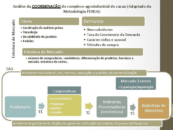 Estrutura de Mercado Análise da COORDENAÇÃO do complexo agroindustrial do cacau (Adaptado da Metodologia