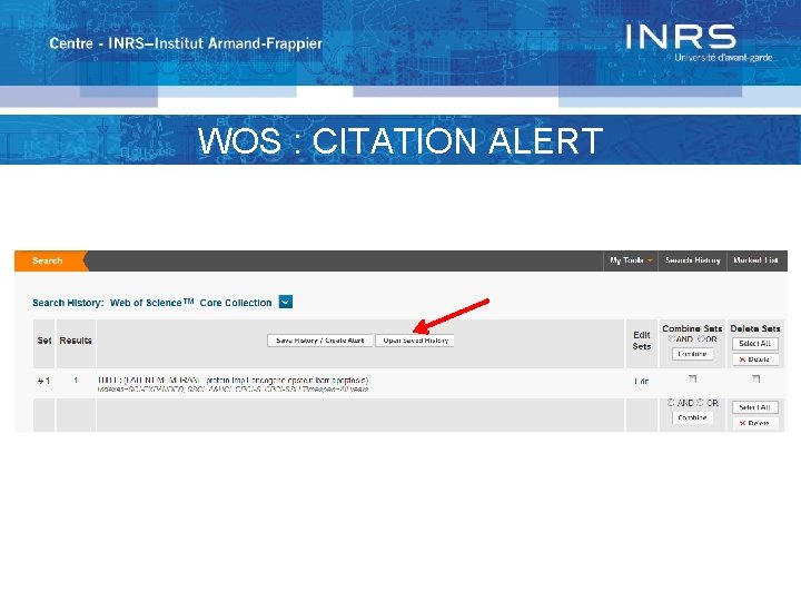 WOS : CITATION ALERT 