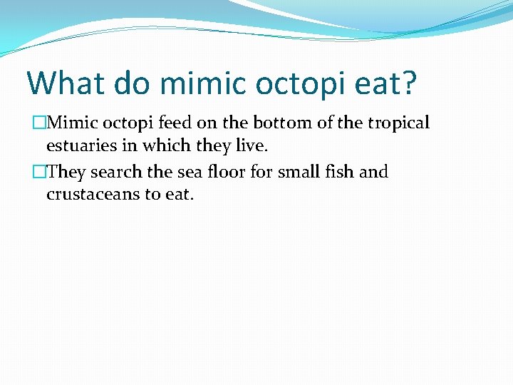 What do mimic octopi eat? �Mimic octopi feed on the bottom of the tropical