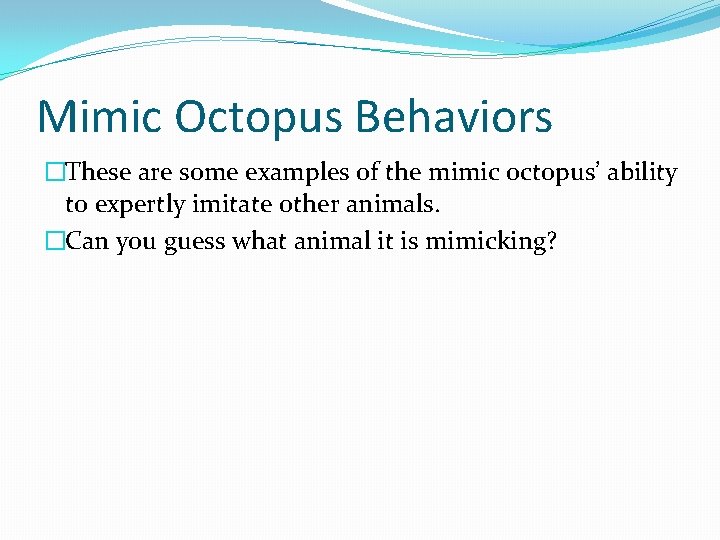 Mimic Octopus Behaviors �These are some examples of the mimic octopus’ ability to expertly