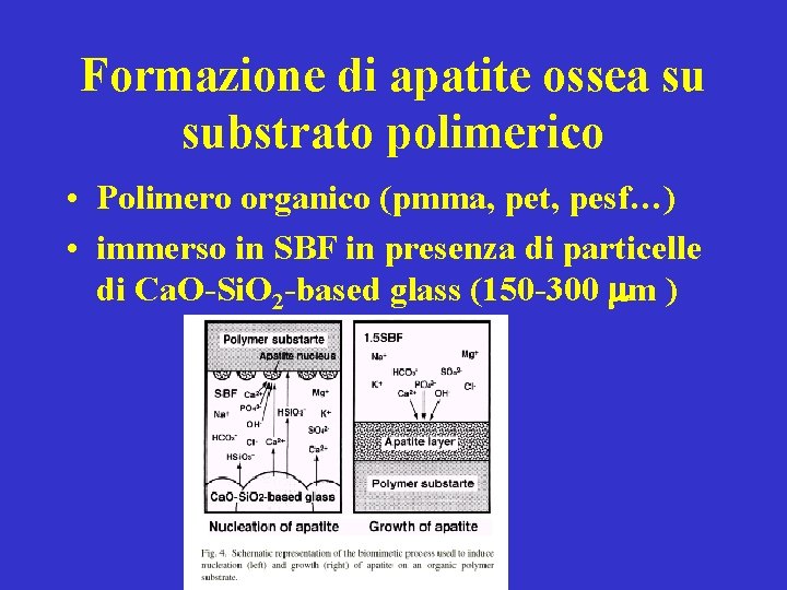 Formazione di apatite ossea su substrato polimerico • Polimero organico (pmma, pet, pesf…) •