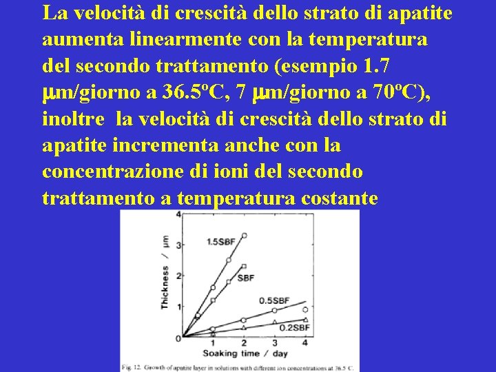 La velocità di crescità dello strato di apatite aumenta linearmente con la temperatura del