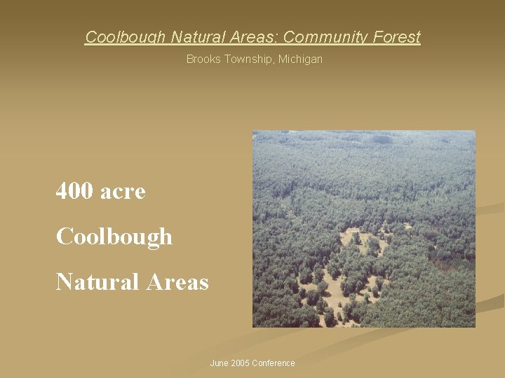 Coolbough Natural Areas: Community Forest Brooks Township, Michigan 400 acre Coolbough Natural Areas June