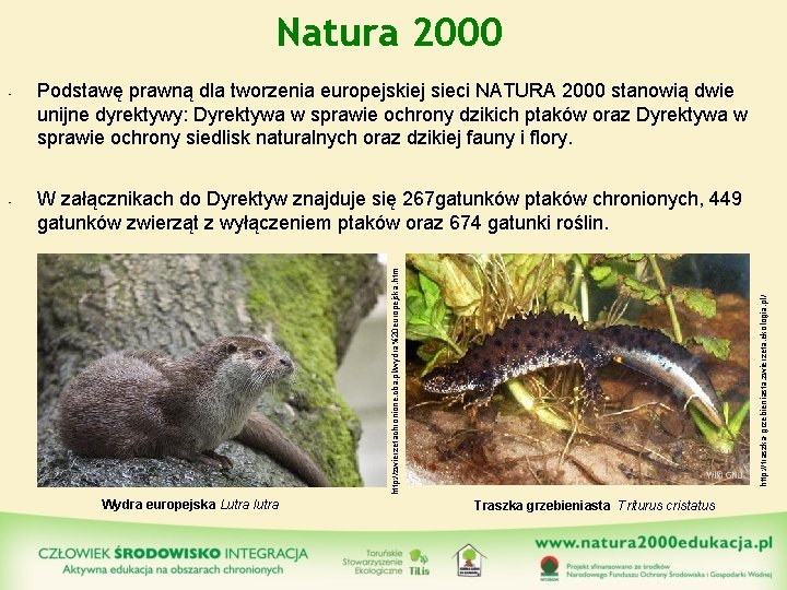 Natura 2000 W załącznikach do Dyrektyw znajduje się 267 gatunków ptaków chronionych, 449 gatunków