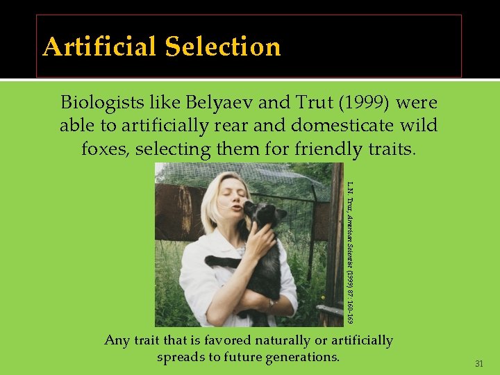 Artificial Selection Biologists like Belyaev and Trut (1999) were able to artificially rear and