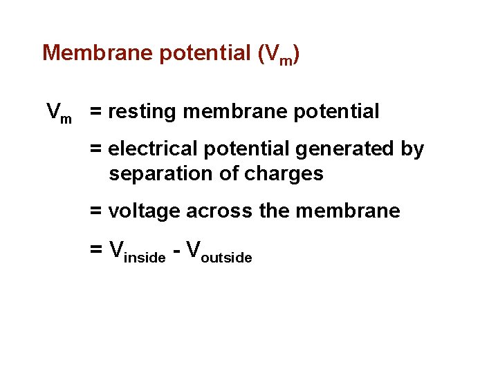Membrane potential (Vm) Vm = resting membrane potential = electrical potential generated by separation