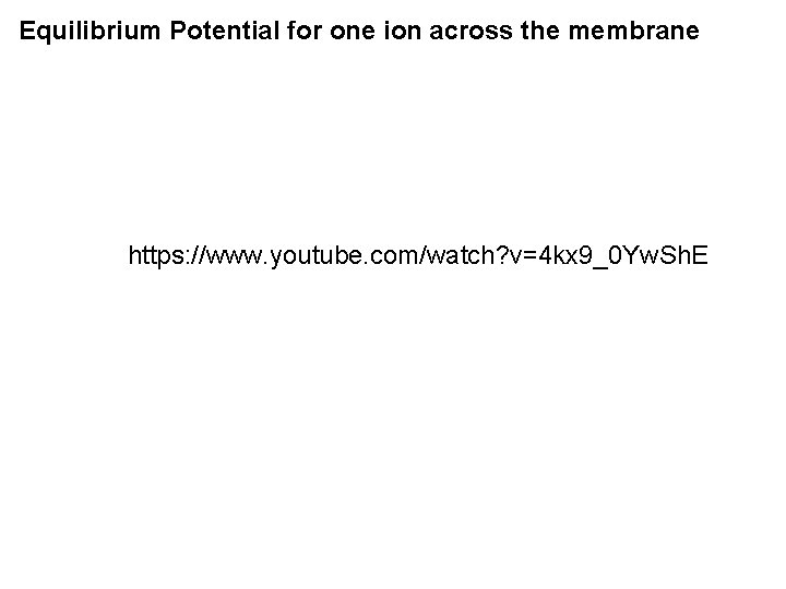 Equilibrium Potential for one ion across the membrane https: //www. youtube. com/watch? v=4 kx