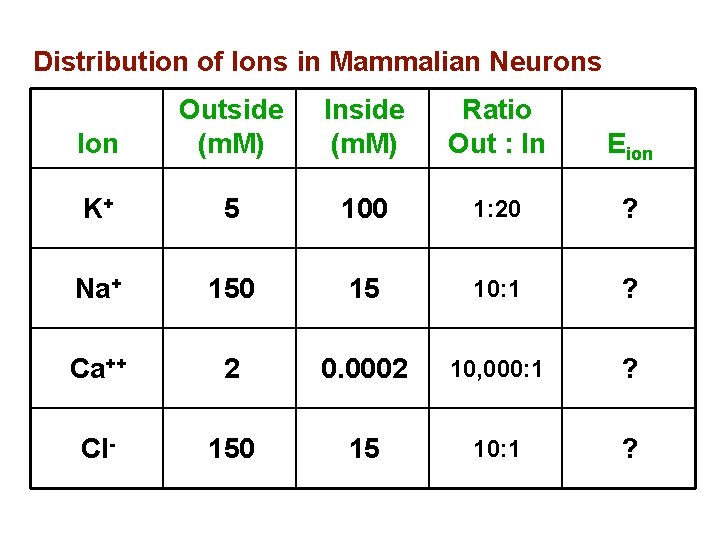 Distribution of Ions in Mammalian Neurons Ion Outside (m. M) Inside (m. M) Ratio