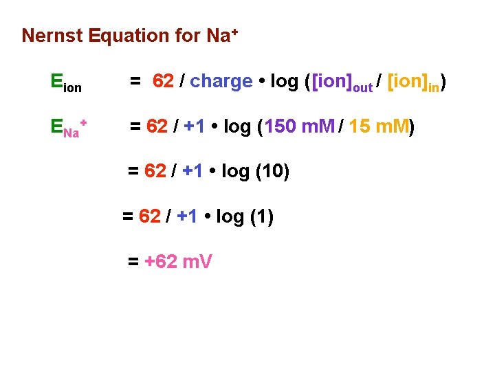 Nernst Equation for Na+ Eion = 62 / charge • log ([ion]out / [ion]in)