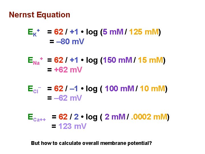 Nernst Equation EK+ = 62 / +1 • log (5 m. M / 125