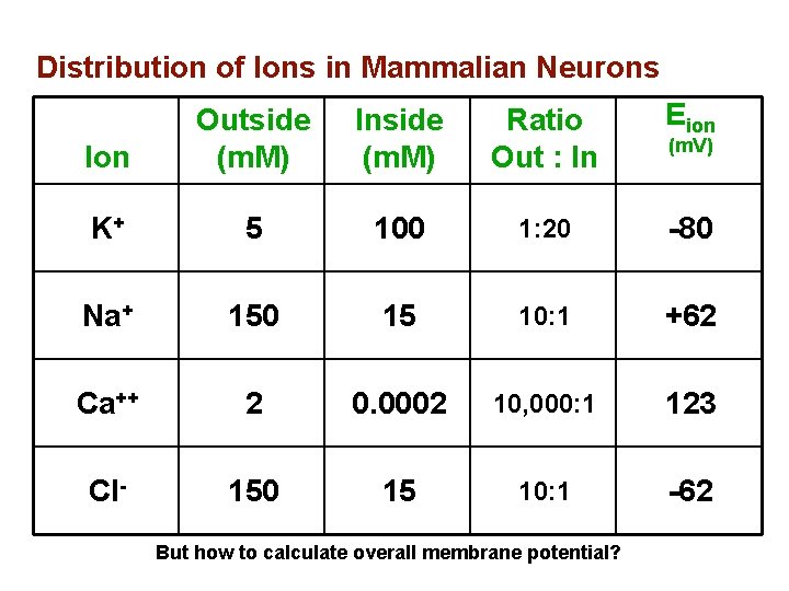 Distribution of Ions in Mammalian Neurons Inside (m. M) Ratio Out : In Eion