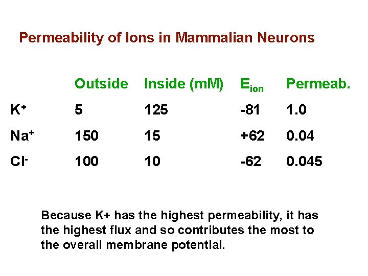 Permeability of Ions in Mammalian Neurons Outside Inside (m. M) Eion Permeab. K+ 5