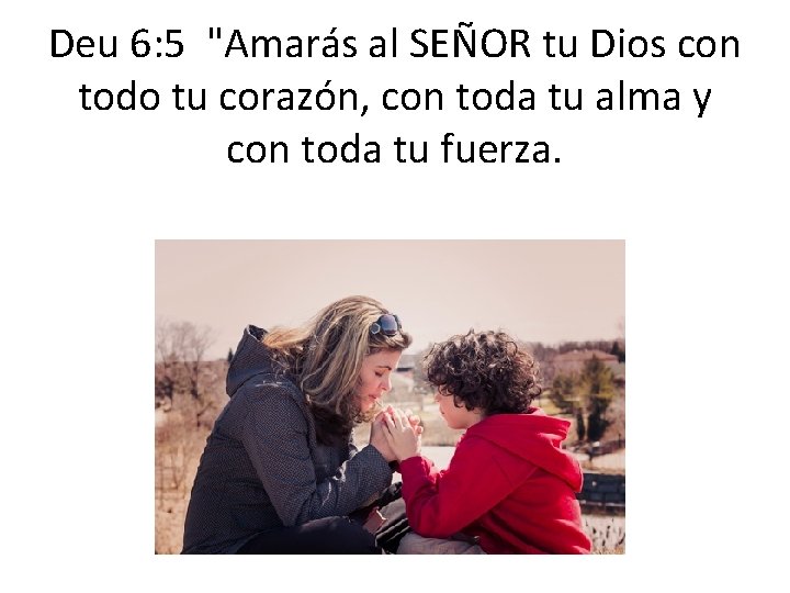 Deu 6: 5 "Amarás al SEÑOR tu Dios con todo tu corazón, con toda