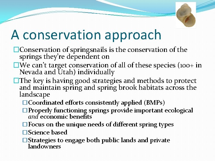 A conservation approach �Conservation of springsnails is the conservation of the springs they’re dependent