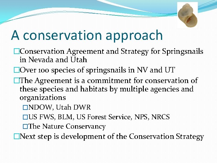 A conservation approach �Conservation Agreement and Strategy for Springsnails in Nevada and Utah �Over