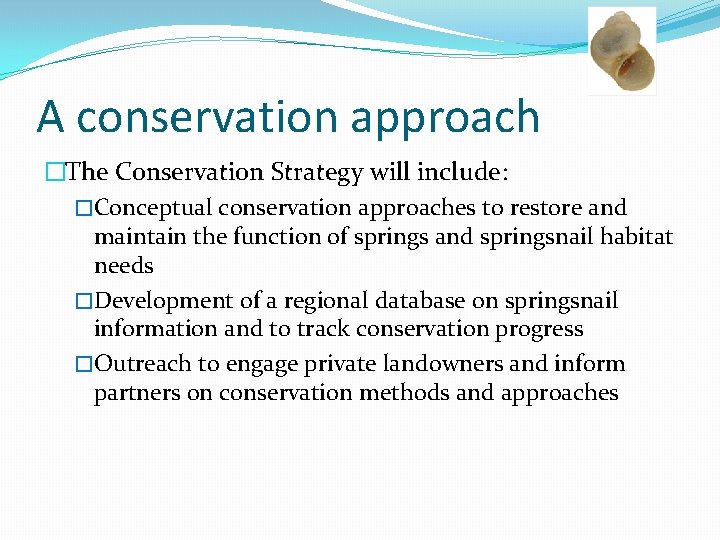 A conservation approach �The Conservation Strategy will include: �Conceptual conservation approaches to restore and