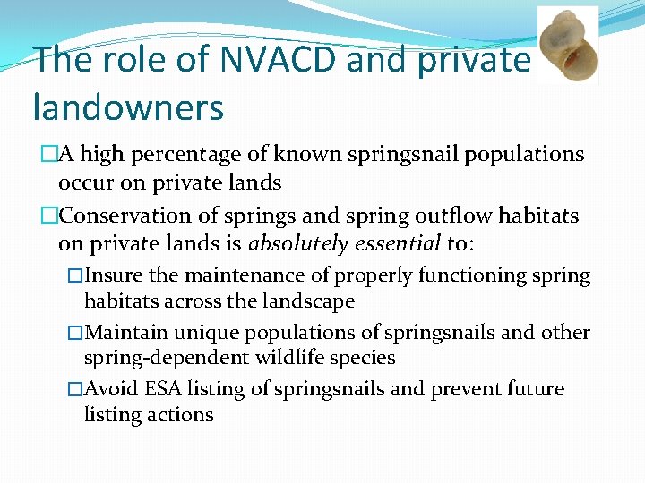 The role of NVACD and private landowners �A high percentage of known springsnail populations