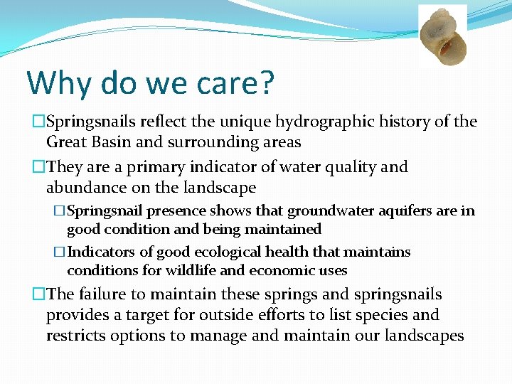 Why do we care? �Springsnails reflect the unique hydrographic history of the Great Basin