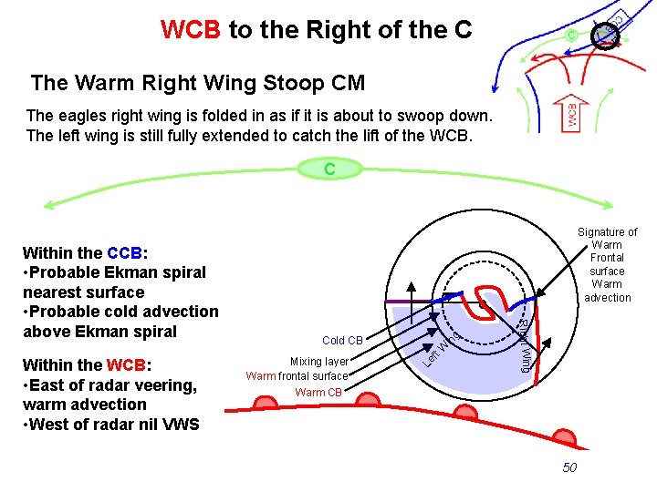 WCB to the Right of the Col The Warm Right Wing Stoop CM The