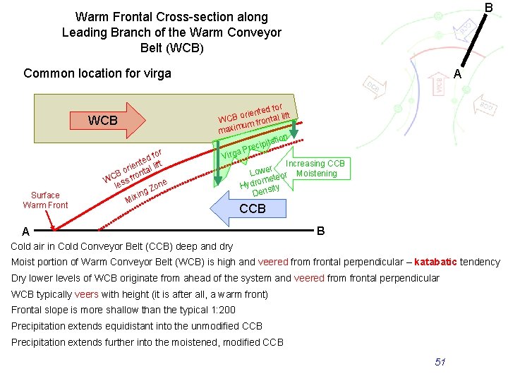 B Warm Frontal Cross-section along Leading Branch of the Warm Conveyor Belt (WCB) Common