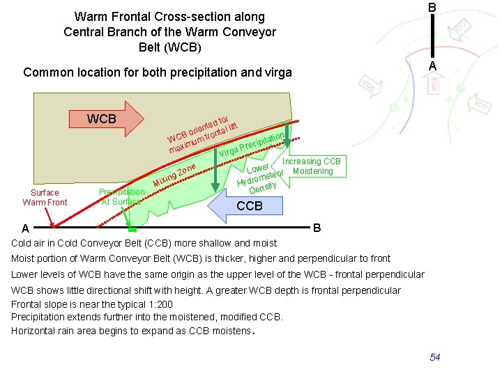 B Warm Frontal Cross-section along Central Branch of the Warm Conveyor Belt (WCB) A