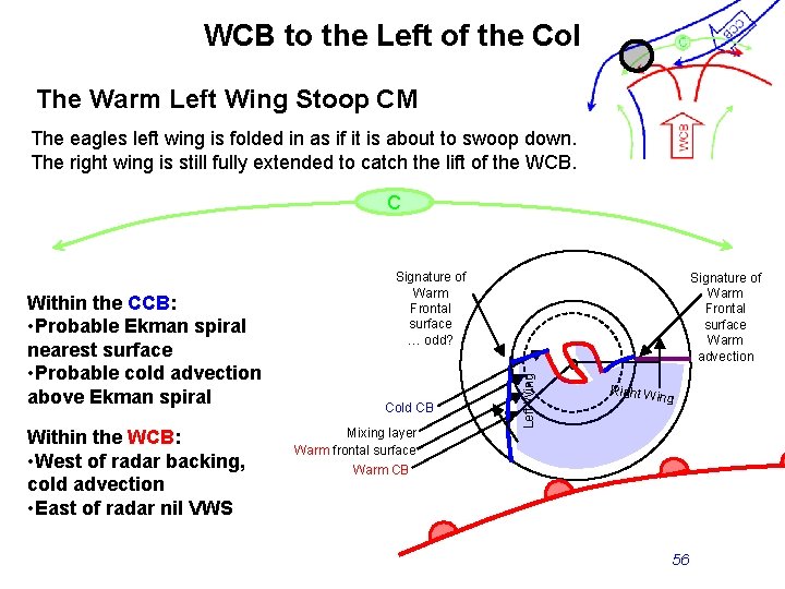 WCB to the Left of the Col The Warm Left Wing Stoop CM The
