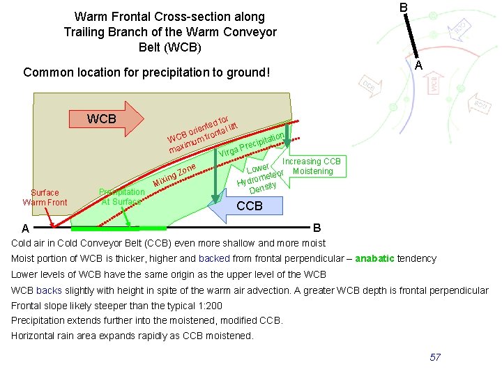 B Warm Frontal Cross-section along Trailing Branch of the Warm Conveyor Belt (WCB) A