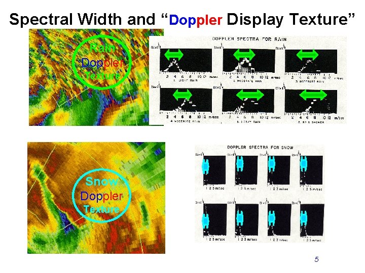 Spectral Width and “Doppler Display Texture” Rain Doppler Texture Snow Doppler Texture 5 