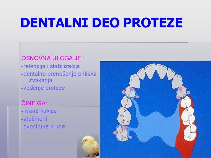 DENTALNI DEO PROTEZE OSNOVNA ULOGA JE : -retencija i stabilizacija -dentalno prenošenje pritiska žvakanja