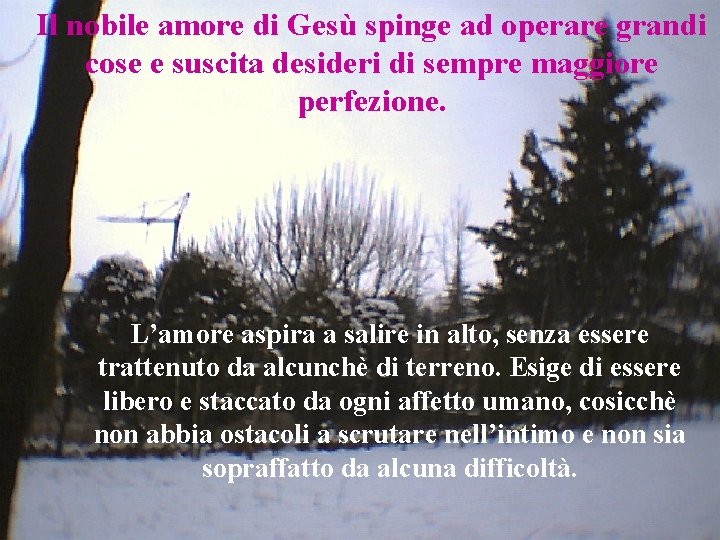 Il nobile amore di Gesù spinge ad operare grandi cose e suscita desideri di Il nobile amore di Gesù spinge ad operare grandi cose e suscita desideri di