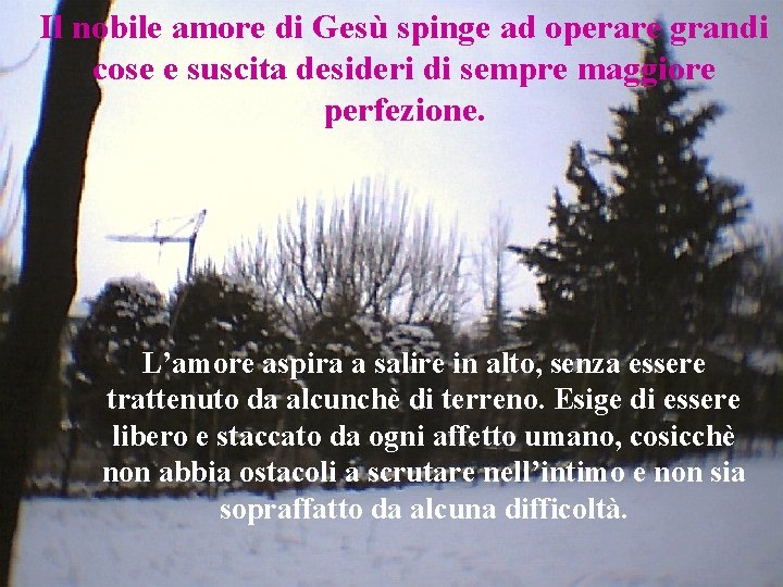 Il nobile amore di Gesù spinge ad operare grandi cose e suscita desideri di