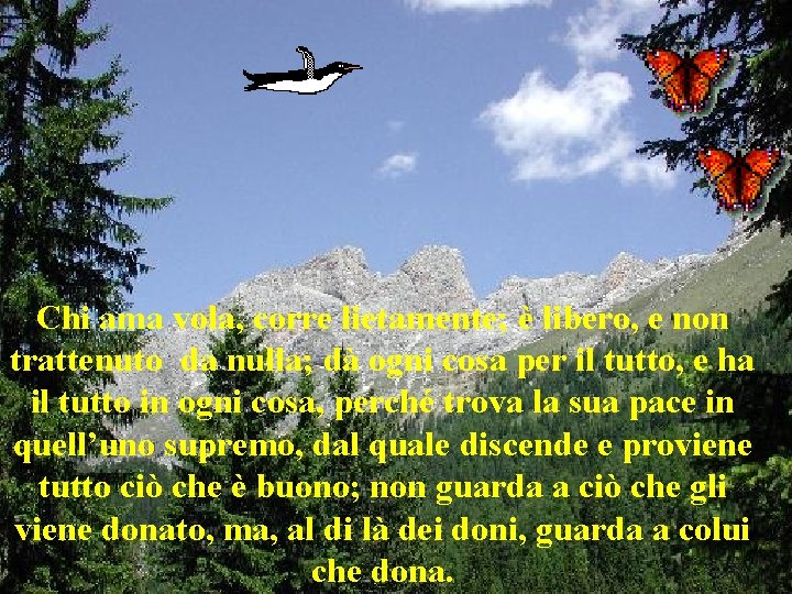 Chi ama vola, corre lietamente; è libero, e non trattenuto da nulla; dà ogni