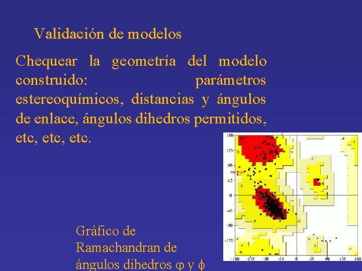 Validación de modelos Chequear la geometría del modelo construido: parámetros estereoquímicos, distancias y ángulos