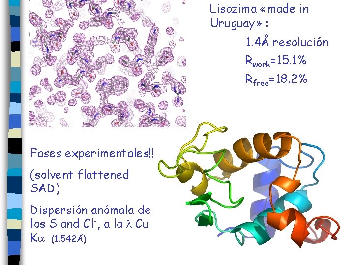 Lisozima «made in Uruguay» : 1. 4Å resolución Rwork=15. 1% Rfree=18. 2% Fases experimentales!!