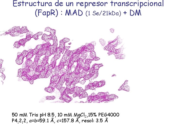 Estructura de un represor transcripcional (Fap. R) : MAD (1 Se/21 k. Da) +