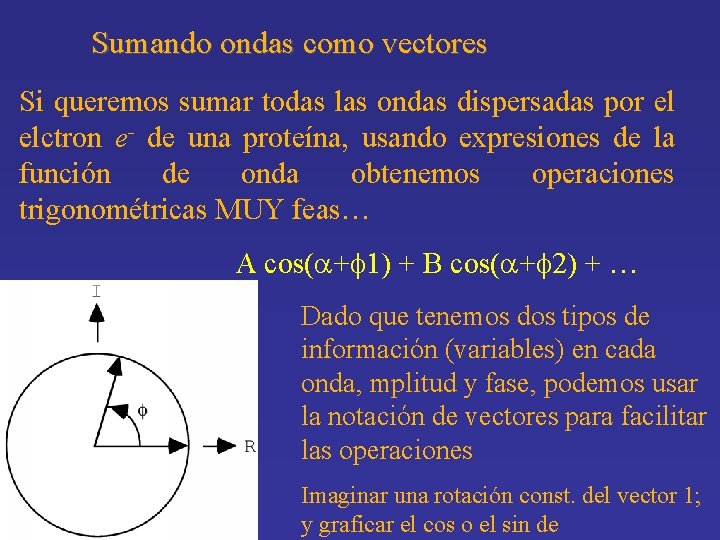 Sumando ondas como vectores Si queremos sumar todas las ondas dispersadas por el elctron